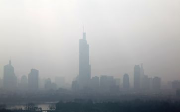 生态与环境霾调查报告8篇
