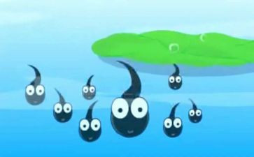 蝌蚪幼儿园教案5篇