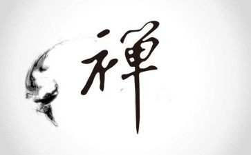 禅的故事读后感最新8篇