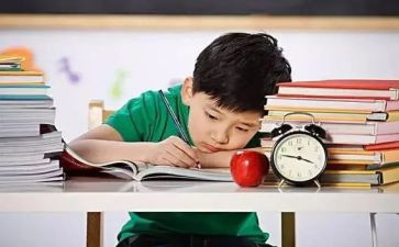 序数1~5教案7篇
