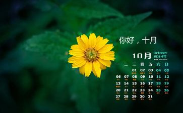 幼儿园中班10月份总结_月工作总结8篇