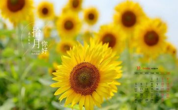 幼儿园教师10月份月总结7篇