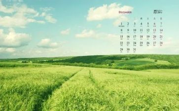 12月工作计划模板5篇