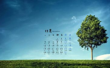 小班12月教学心得5篇