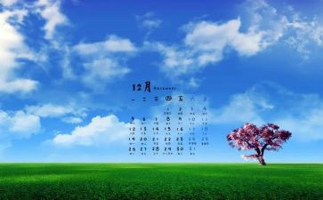 12月份中班工作总结7篇