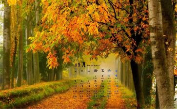 12月心得体会范文6篇