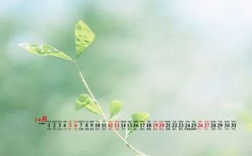 12月活动方案8篇