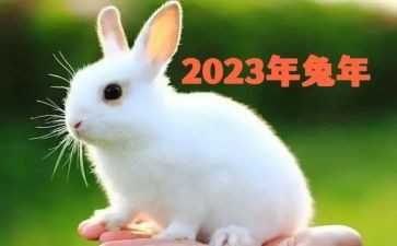 2023年区法院工作总结5篇