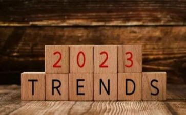 小学教师年度考核个人总结2023200字优秀5篇