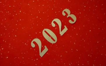 2023年初中教师个人总结模板7篇