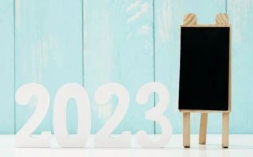 单位出纳2023个人总结7篇