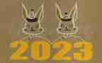 2023年社区妇联工作总结范文5篇