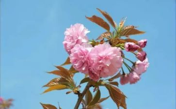 2月演讲稿模板8篇