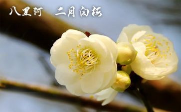 大班2月份工作总结6篇
