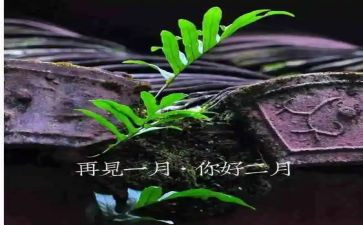 办公室2月工作总结5篇