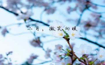 2月份工作总结7篇