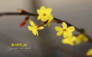 幼儿园大班2月份工作计划8篇