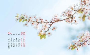 4月演讲稿范文6篇