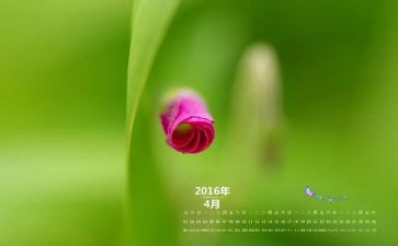 护士工作计划个人2024月计划6篇