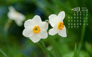4月的工作计划5篇