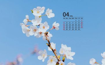 4月的工作计划参考6篇