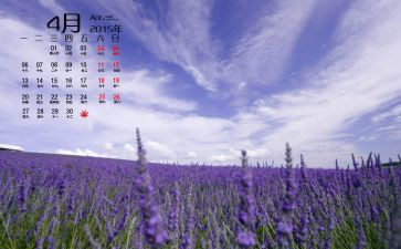 幼儿教师4月份工作总结7篇