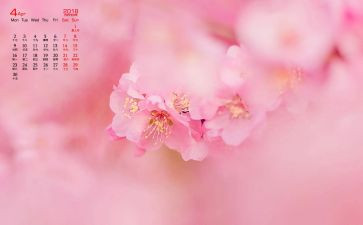 4月份工作总结7篇