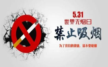 531培训心得体会7篇