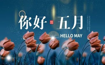 小小班5月份工作总结8篇