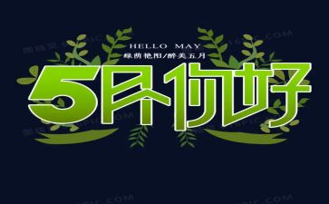 销售5月份个人工作总结5篇