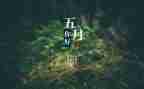 2024年5月工作计划最新7篇