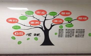 6s现场心得体会8篇