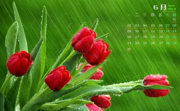 中班的6月份工作总结5篇