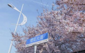 985毕业生自我鉴定最新6篇