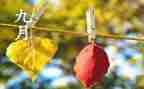 9月讲话稿8篇