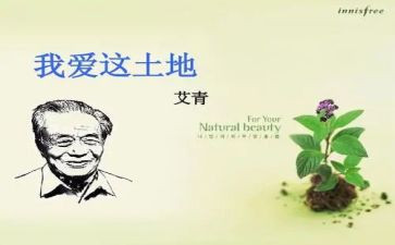 艾青《桥》的读后感5篇