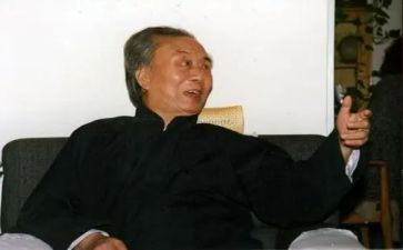 艾青树的读后感400字6篇