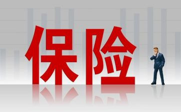 安康险工作总结8篇