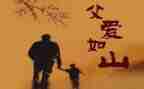 描写爸爸的作文7篇
