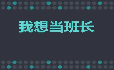 2023保安班长工作个人总结5篇