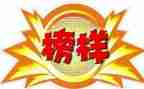 工作榜样演讲稿7篇