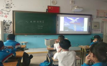 班会课心得体会300字5篇