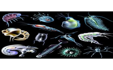 生物教师教育心得体会5篇