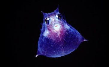 生物的工作计划最新6篇