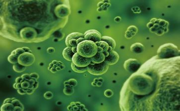 生物实验工作总结范文8篇