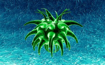 高中生物教师学期工作总结5篇