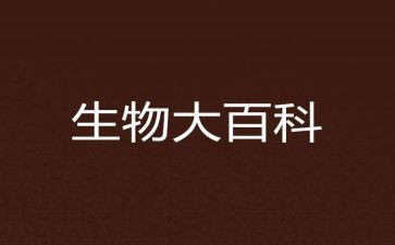 生物的工作计划优秀5篇