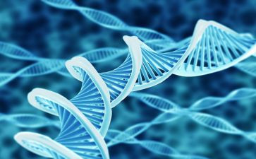 高中生物教师年度考核个人总结8篇