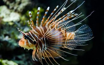2023生物个人总结8篇