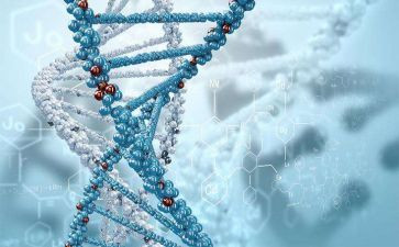中学生物实验工作总结7篇